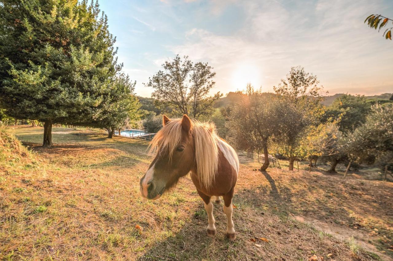 Alpaca Country House Понтедера Екстериор снимка
